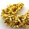 Yellow Pyrite Rough Beads, 10 Inch Gemstone Strands, Drilled Strung Briolette Beads, Free Form, 7x14mm
